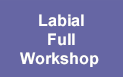 Labial Full Workshop