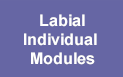Labial Individual Modules